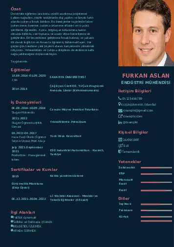 Endüstri Mühendisi CV Örnekleri cv indir